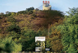 暑期拓展夏令營(yíng)給你不一樣的放松方式