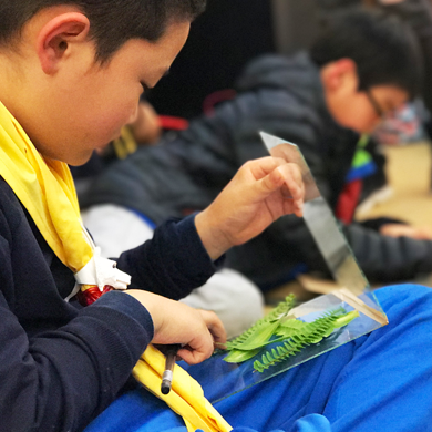 給你一個不一樣的萬寧游學夏令營