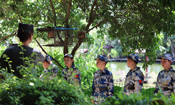 萬(wàn)寧正規(guī)夏令營(yíng)有哪些