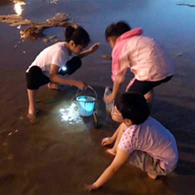威海拓展夏令營(yíng)鍛煉孩子自信堅(jiān)毅的品質(zhì)
