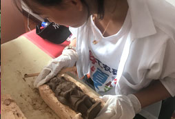 參加威海小學(xué)生夏令營讓孩子贏在起跑線上