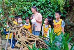 孩子參加青少年文化夏令營好嗎？