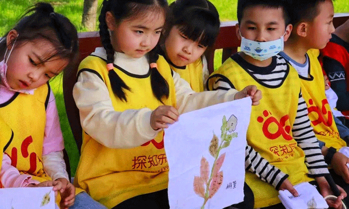 6天小學(xué)生文化夏令營去哪里報(bào)名