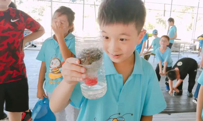 溫州小學(xué)生夏令營