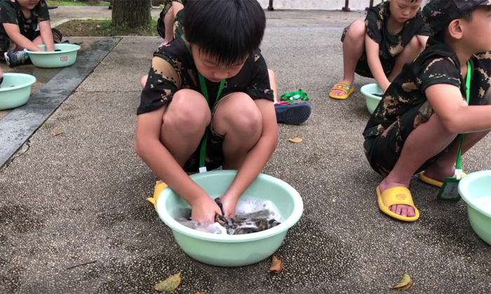 洗刷刷