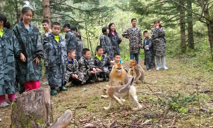 武漢小學生夏令營