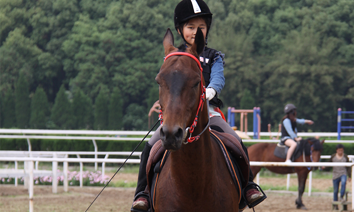 2024武漢夏令營有哪些值得推薦