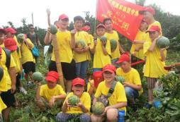 武漢小學(xué)生夏令營怎么樣