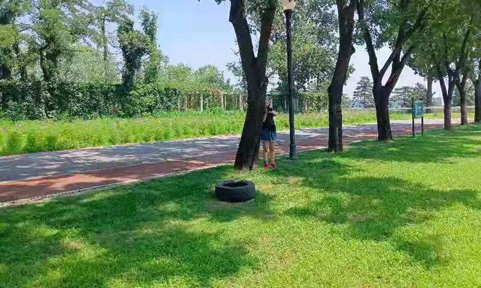 武漢游學夏令營.jpg