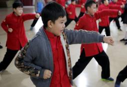 武術(shù)夏令營帶你感受武術(shù)的魅力