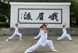 孩子選擇參加武術(shù)夏令營有哪些好處？