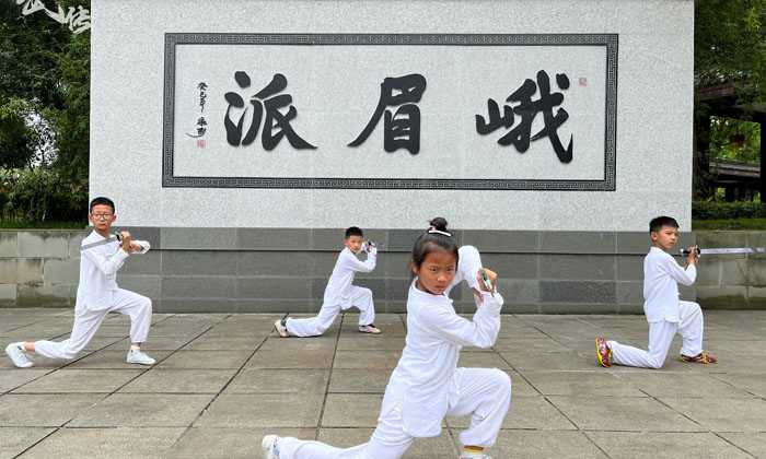 武術(shù)夏令營(yíng)對(duì)孩子的好處