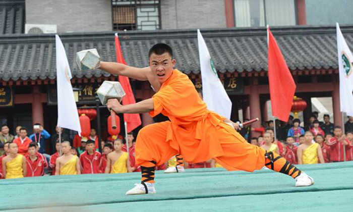 武術(shù)體驗夏令營