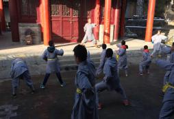 武術(shù)夏令營帶你體驗少林武術(shù)的魅力！