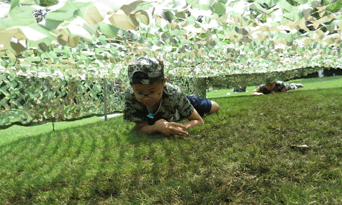 a447cf05f207b712fcd061f34a8447a9.gif