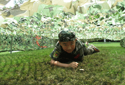 無錫軍事夏令營機(jī)構(gòu)有哪些
