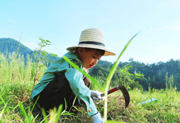 農(nóng)耕活動體驗