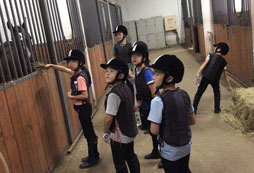 營員喂馬