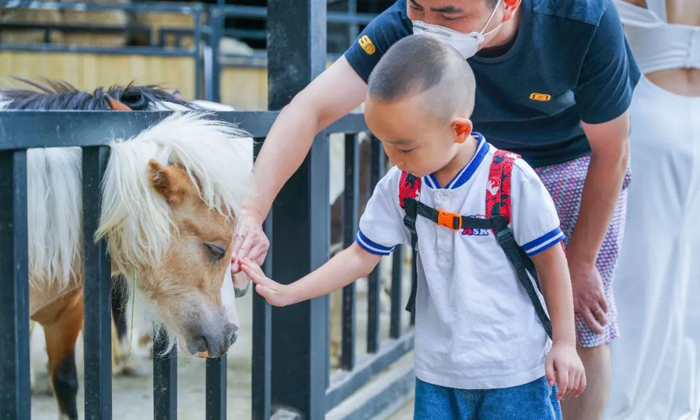 和小動物親密接觸