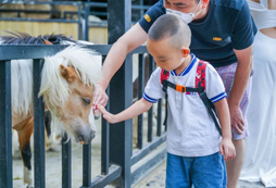 和小動物親密接觸