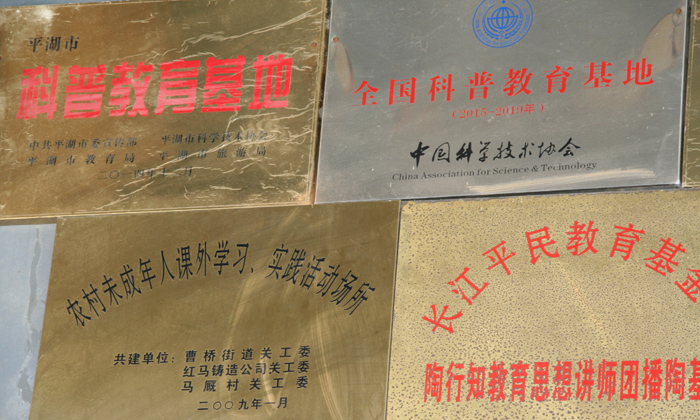 小海豚夏令營榮譽資質(zhì)