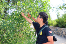 廈門暑期夏令營培養(yǎng)孩子的禮儀氣質(zhì)
