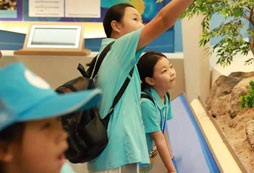 西安有什么地方適合小學(xué)生夏令營