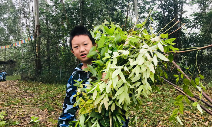 西安中學(xué)生夏令營(yíng)哪個(gè)好