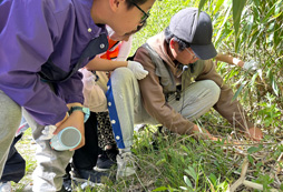 小蛋殼科考夏令營營地好不好？