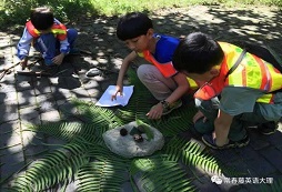 小學(xué)生拓展夏令營(yíng)帶孩子用心去拓展