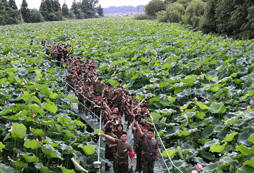 小學(xué)生軍事夏令營(yíng)培養(yǎng)孩子獨(dú)立能力
