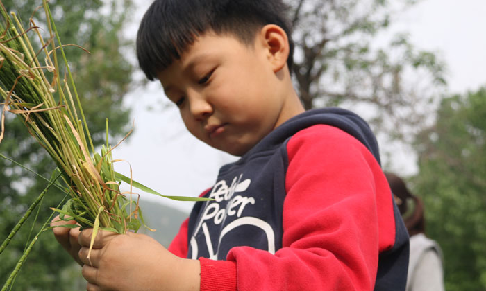 小學(xué)生夏令營.jpg