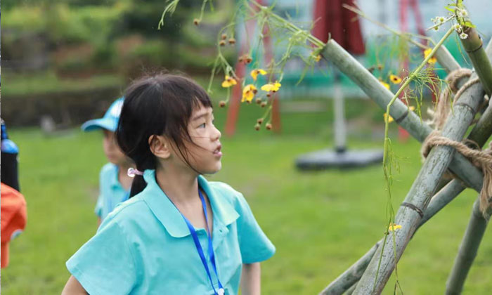 小學生夏令營哪家口碑好