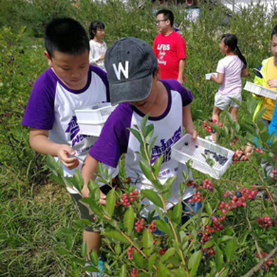 研學(xué)夏令營(yíng)帶你了解漢代歷史文化