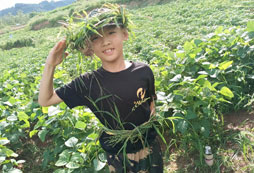 西昌軍事夏令營報(bào)名費(fèi)用是多少
