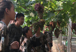 四川軍旅夏令營有哪些訓練內容？