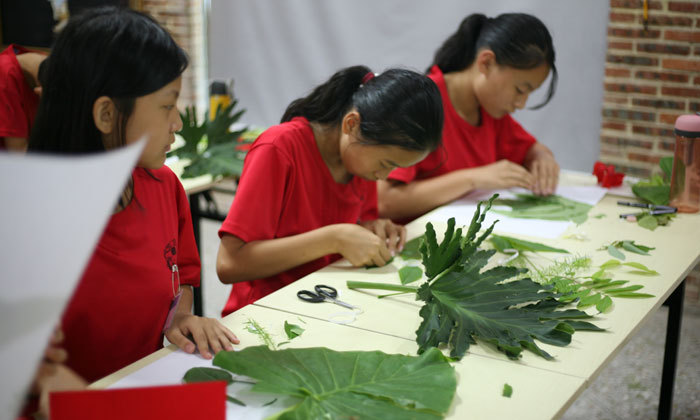 西南小學(xué)生夏令營去哪里好