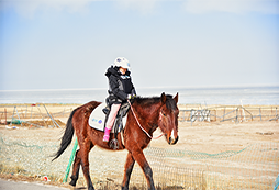 騎馬體驗1