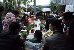綠植知識(shí)課堂