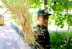 信號(hào)旗軍事夏令營提高青少年的素質(zhì)教育
