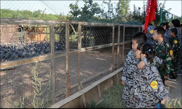 新疆軍事夏令營
