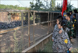 參加新疆軍事夏令營讓孩子在體驗中學(xué)習(xí)成長