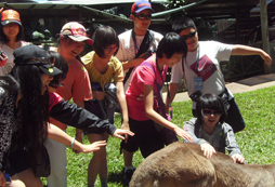 2021新西蘭游學(xué)夏令營和青少年一起學(xué)習(xí)