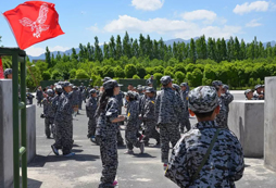難忘的軍事夏令營(yíng)生活