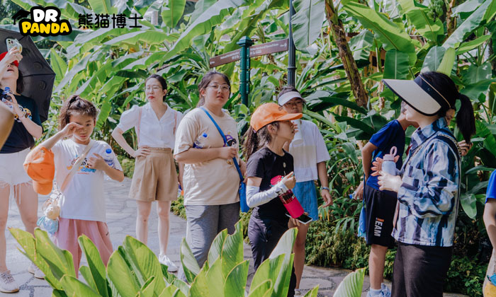 外出游玩