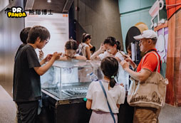 好未來(lái)熊貓博士7天新加坡之旅怎么樣