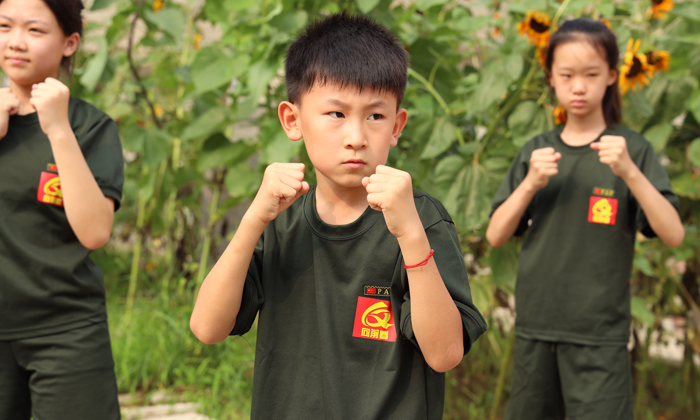 軍體拳