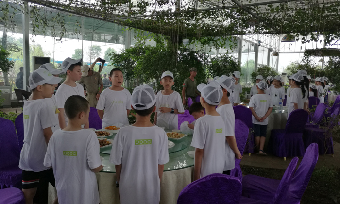 想要提升中小學(xué)生的學(xué)習(xí)成績就來記憶力夏令營.jpg
