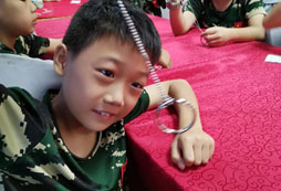 合一為二魔術(shù)