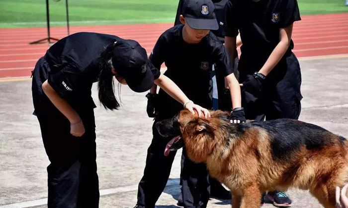 撫摸軍犬